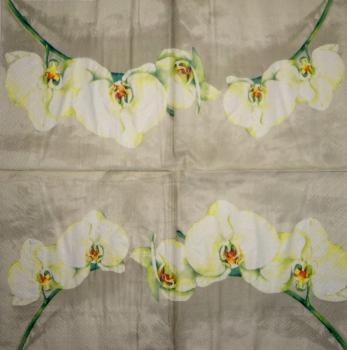 051 Orchideen - 3-lagig - Ihr